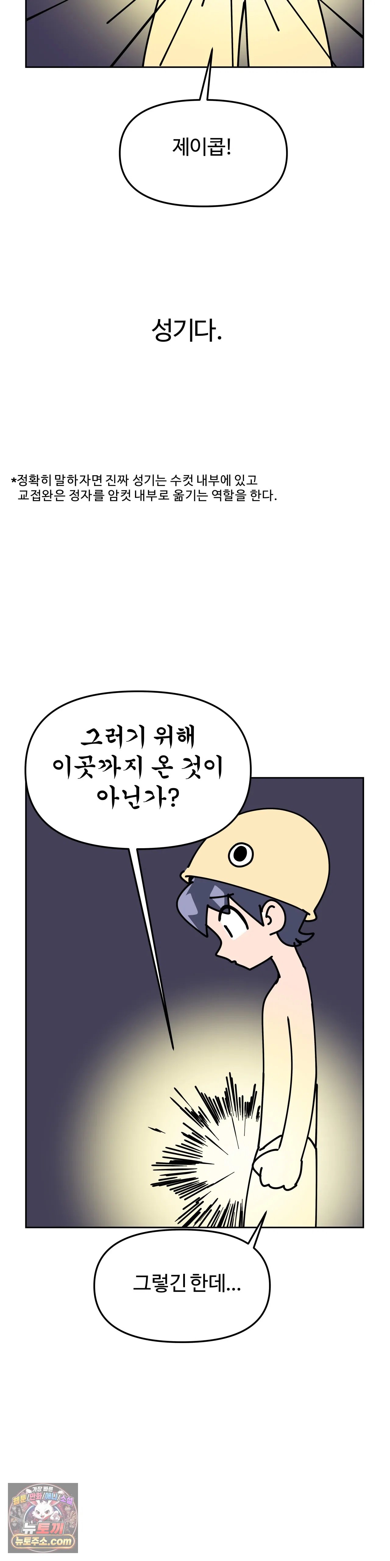 009.jpg