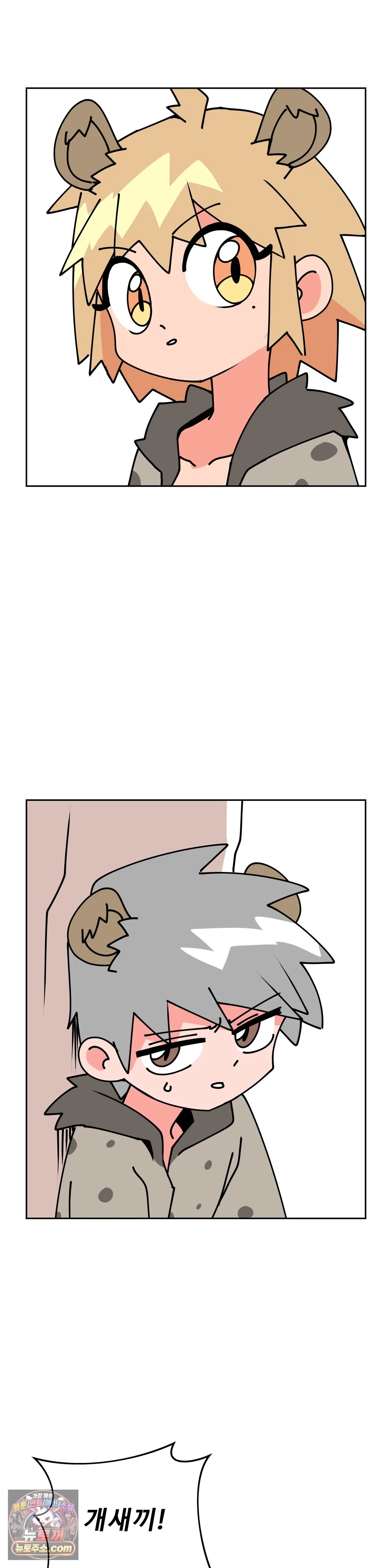 003.jpg