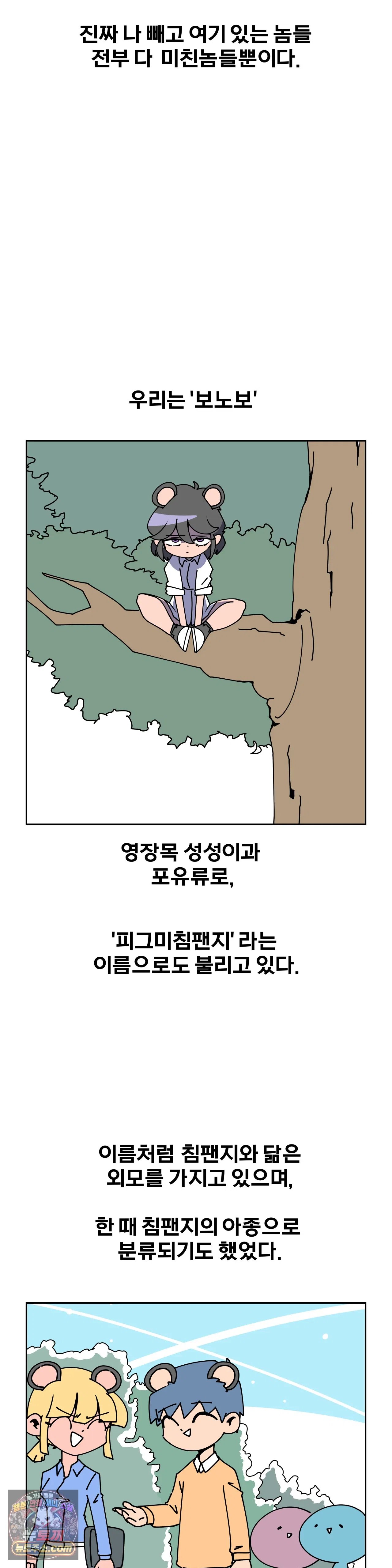 006.jpg