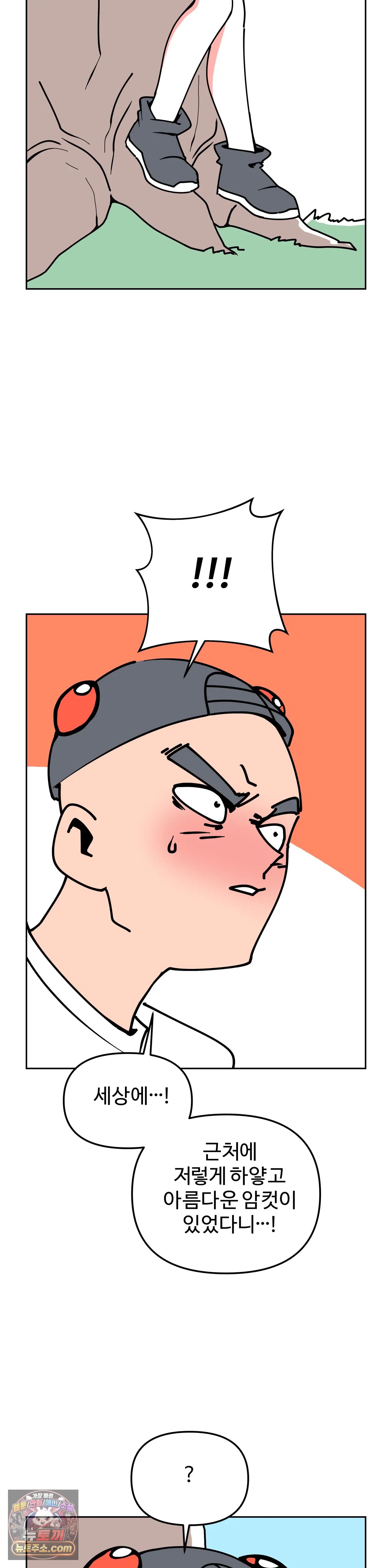 004.jpg