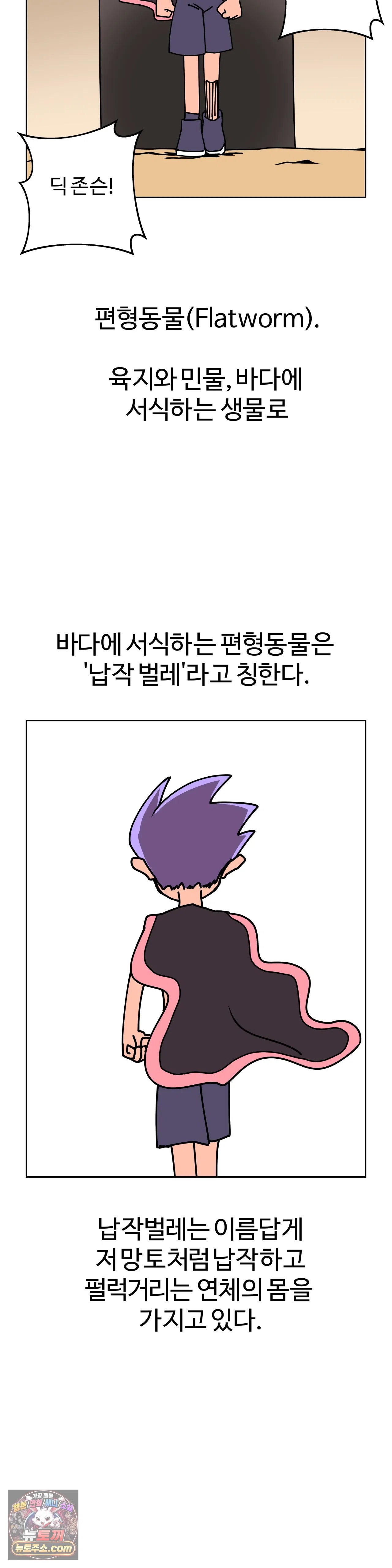 005.jpg