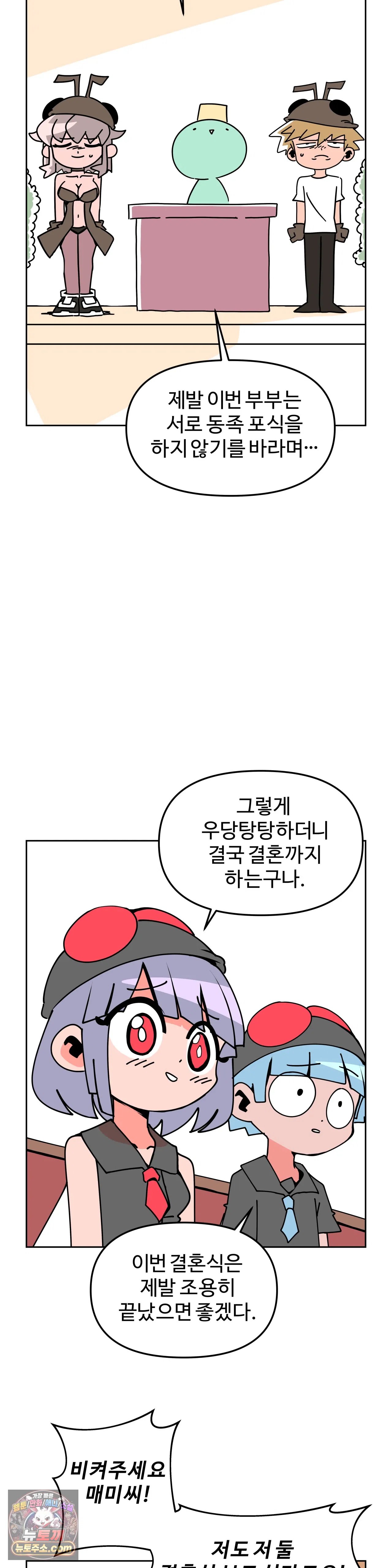003.jpg
