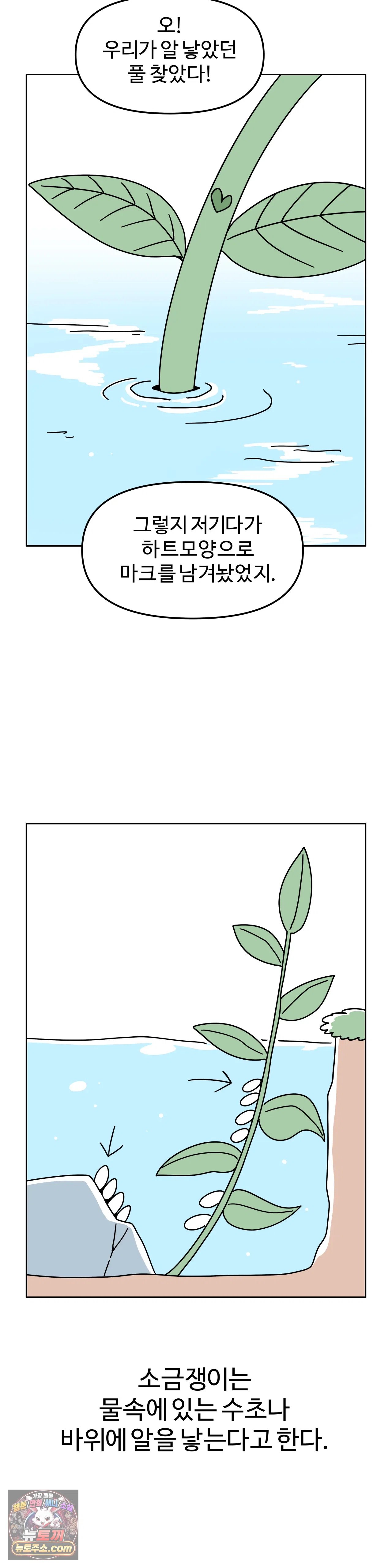 010.jpg