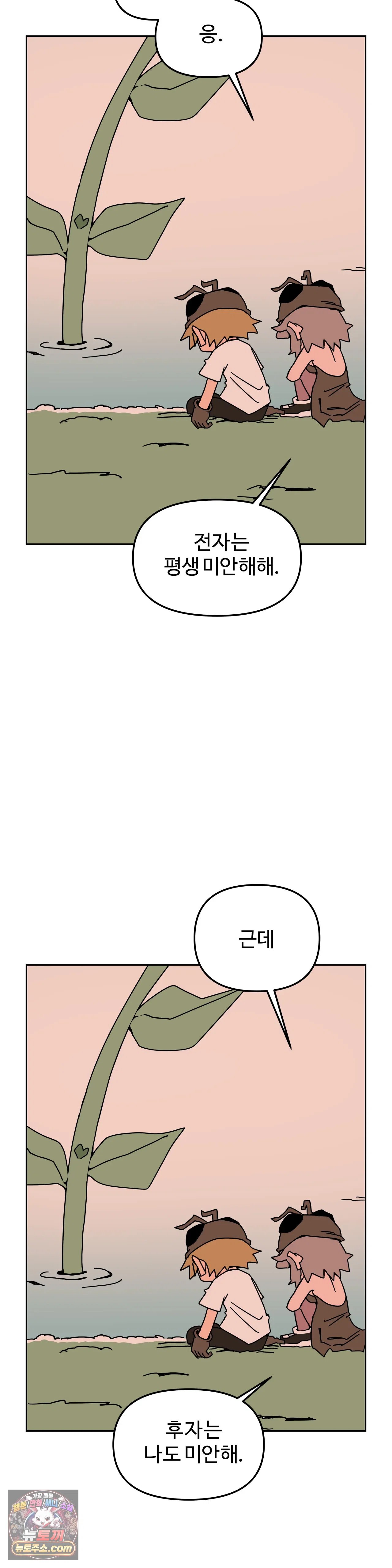 004.jpg