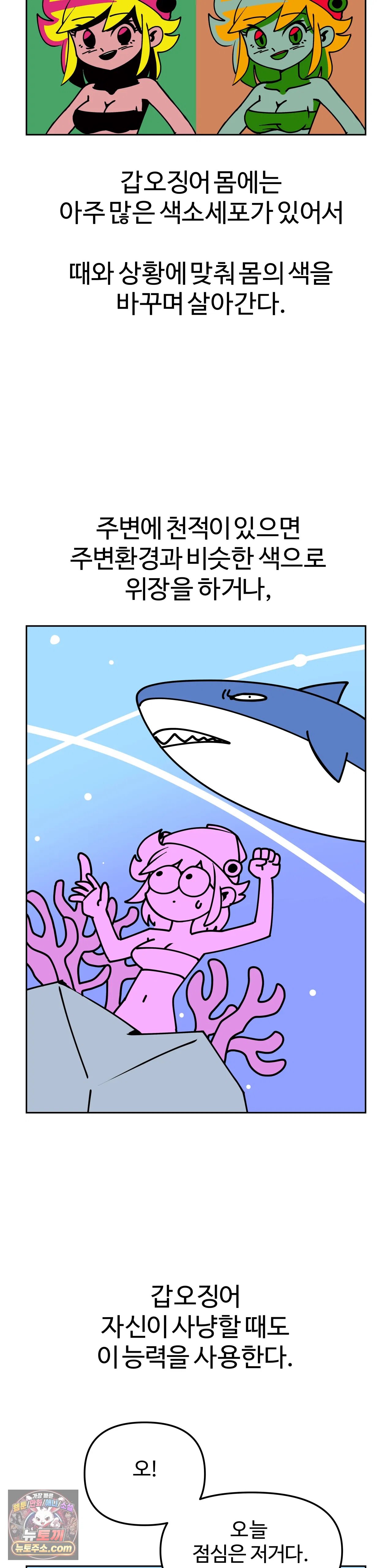 003.jpg