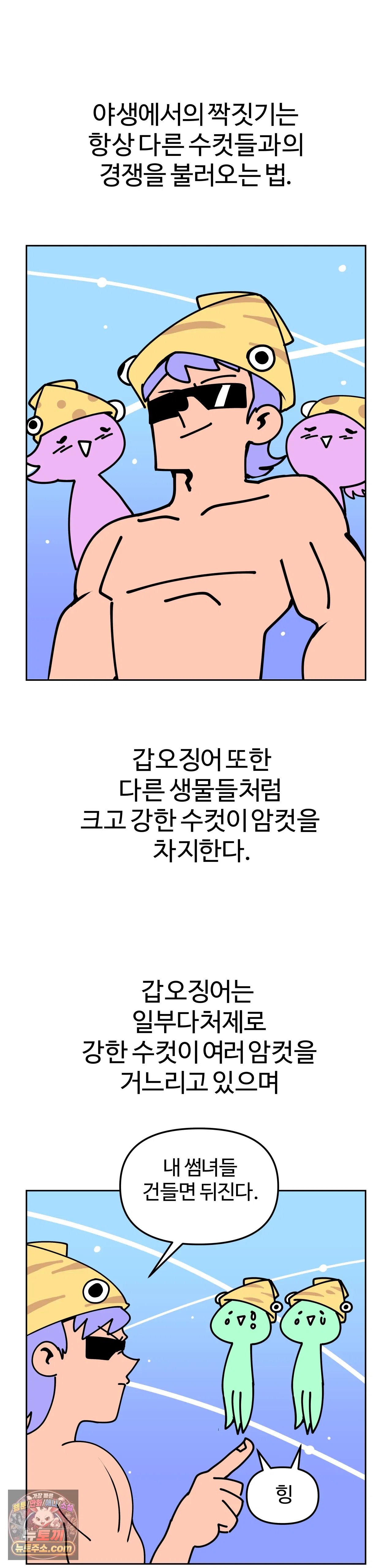 006.jpg