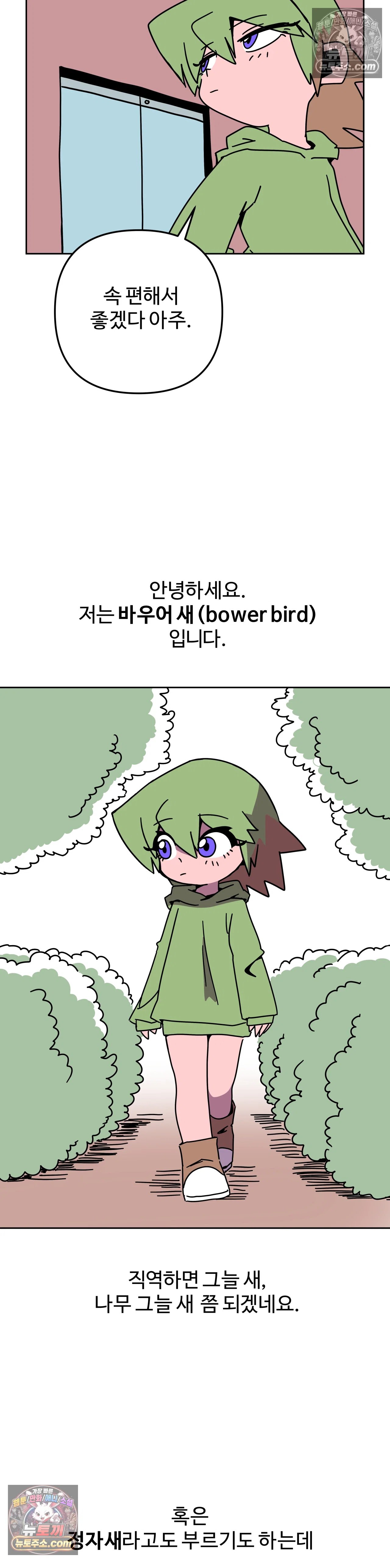 005.jpg