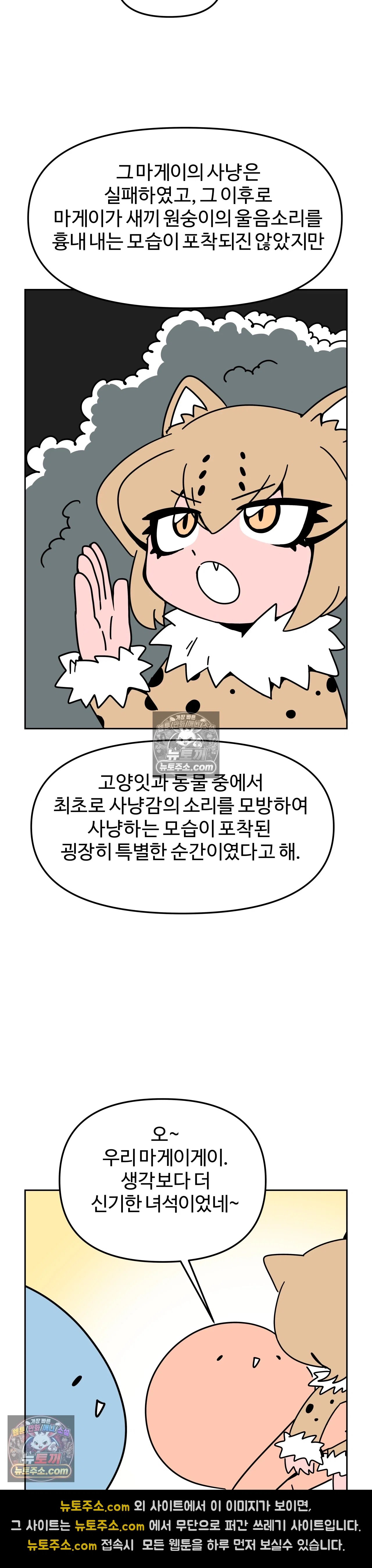 022.jpg