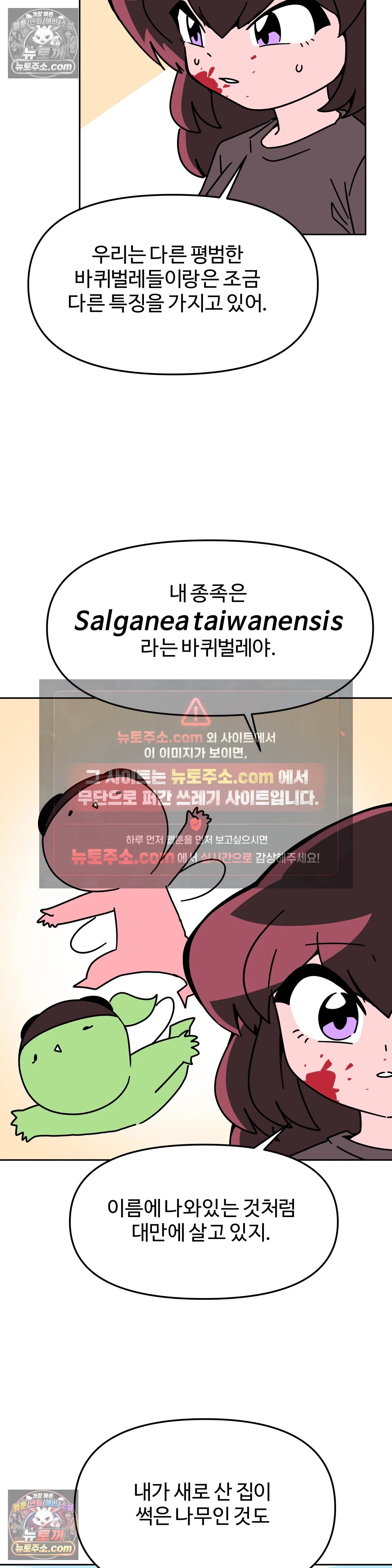 006.jpg