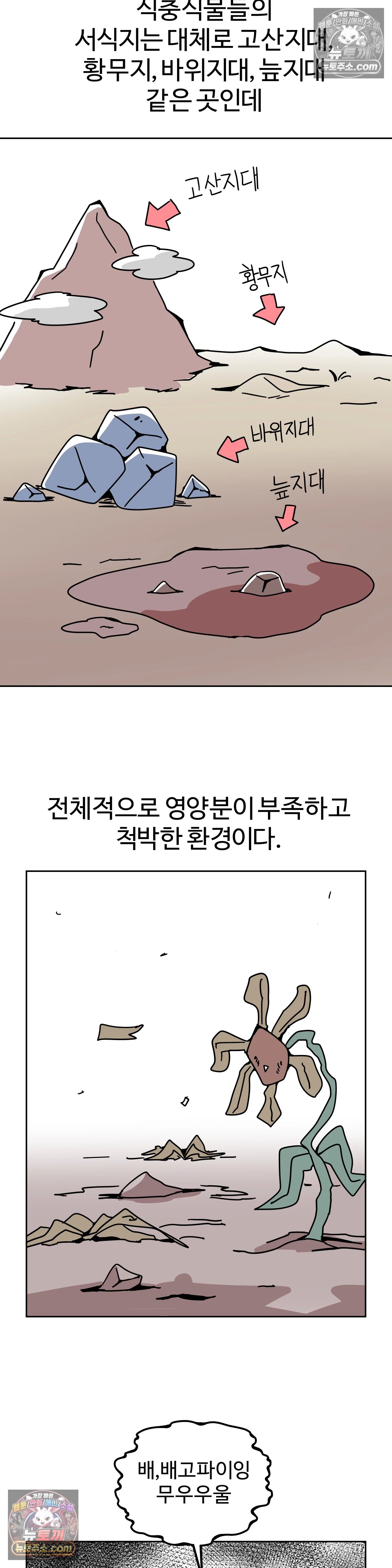 003.jpg