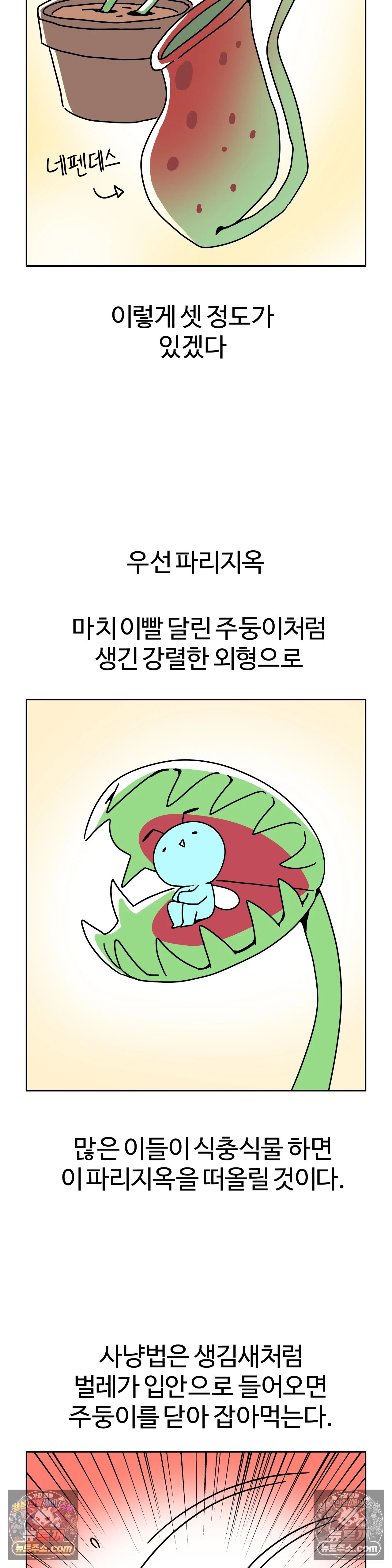 006.jpg