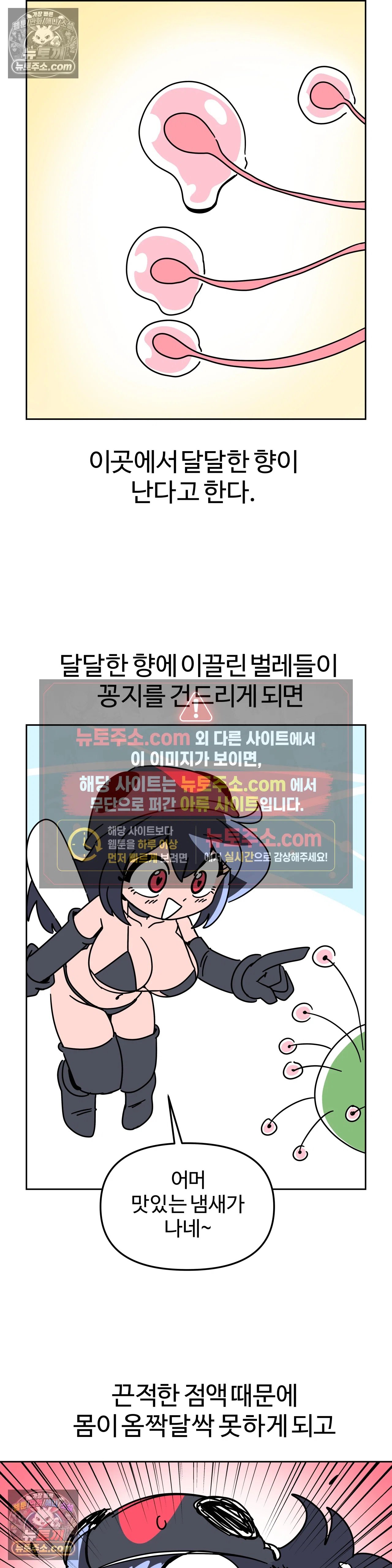 008.jpg