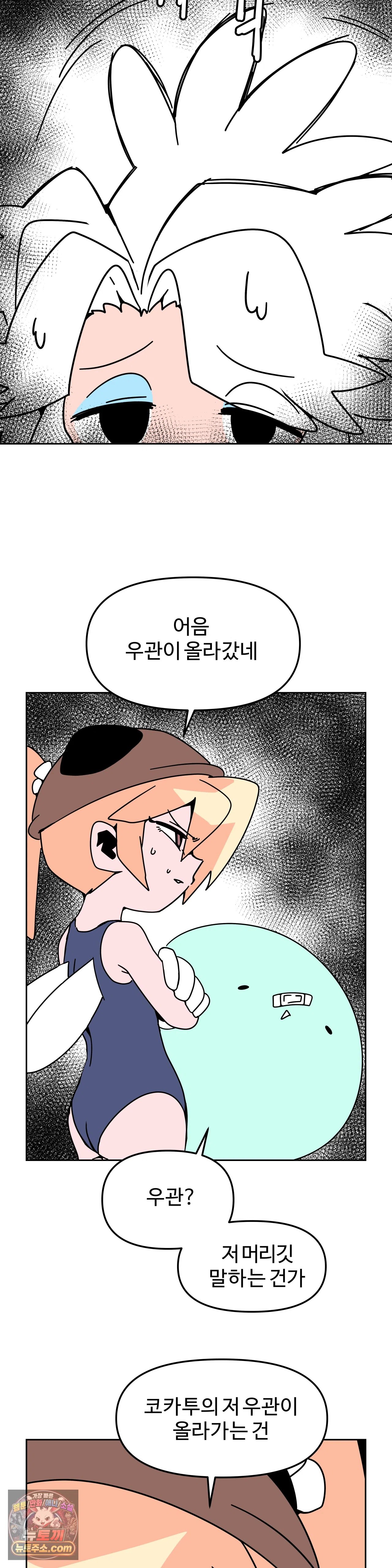 010.jpg