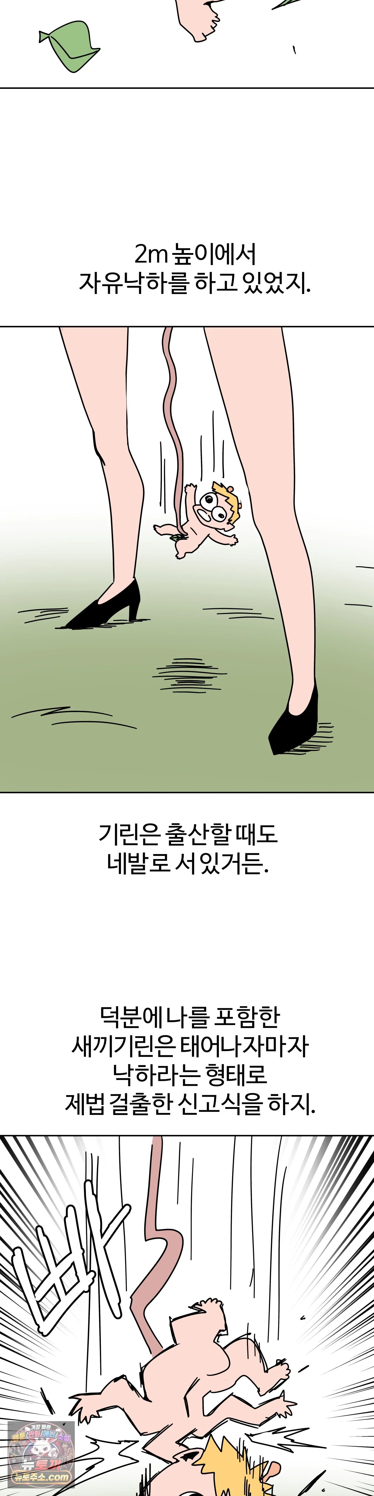 007.jpg