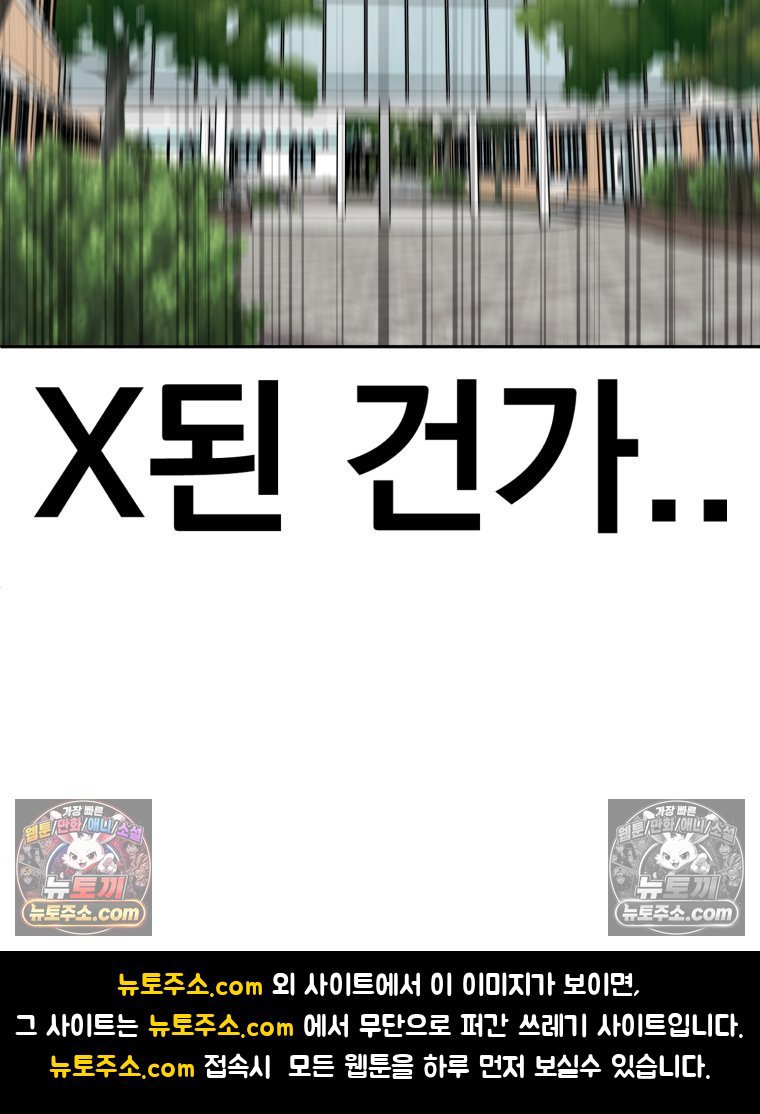 113.jpg