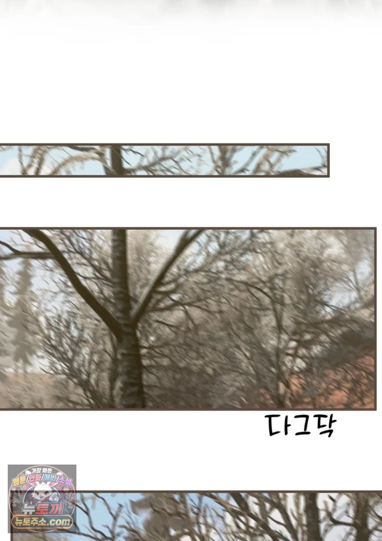 064.jpg