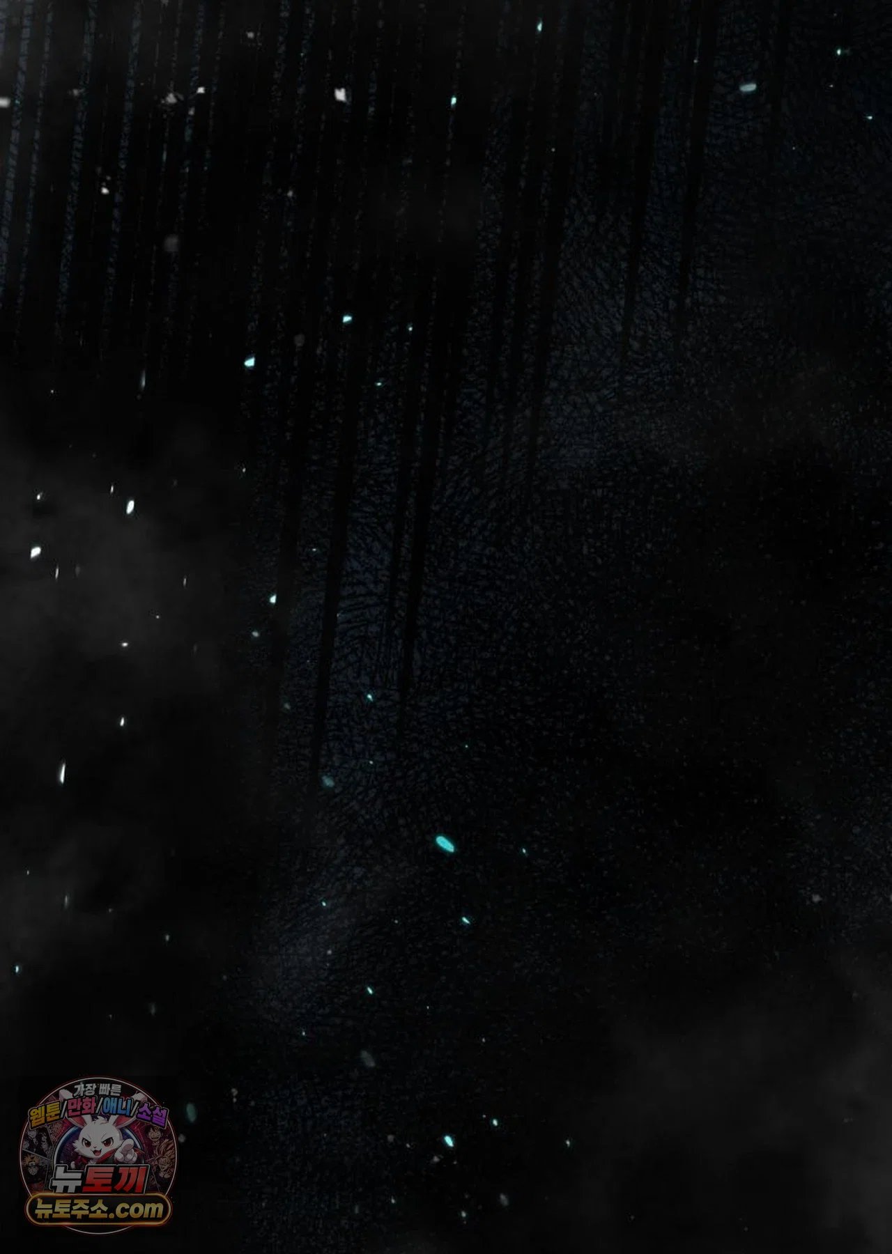 050.jpg
