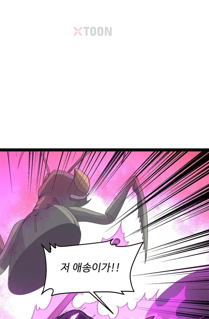 003.jpg