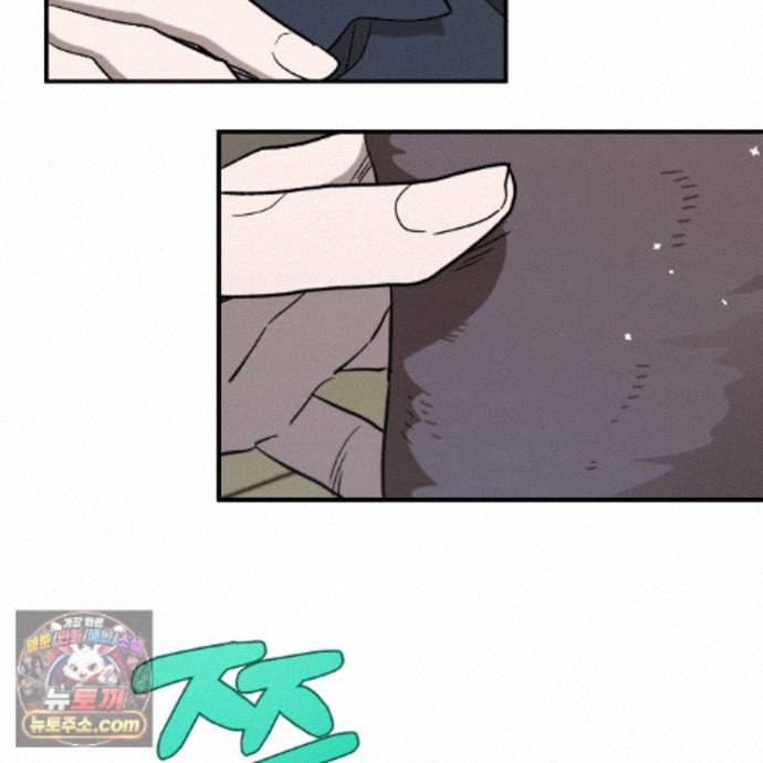 223.jpg