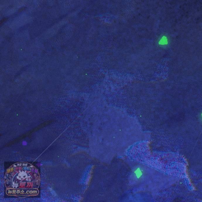 247.jpg