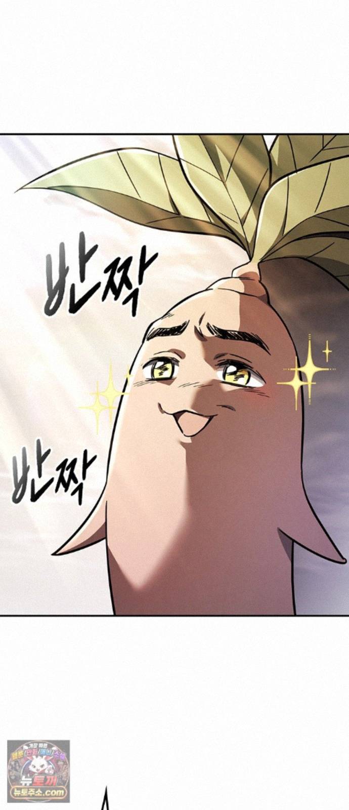 003.jpg
