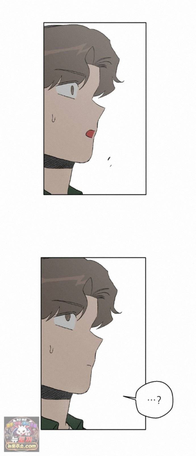 007.jpg