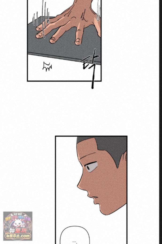038.jpg