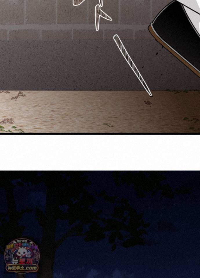 010.jpg