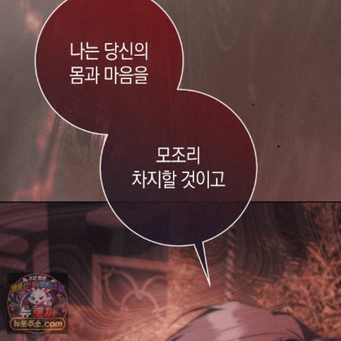 213.jpg