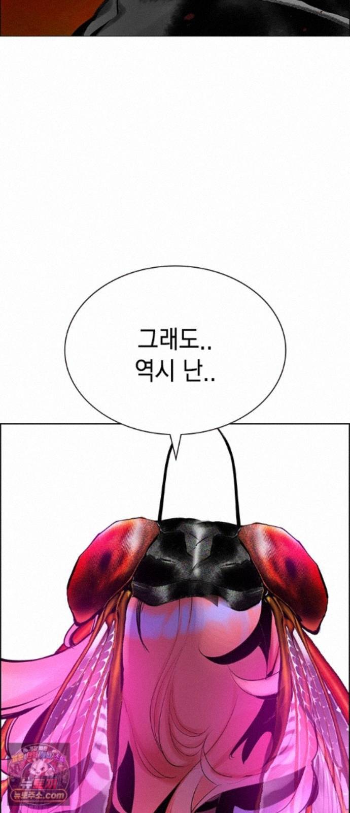 113.jpg