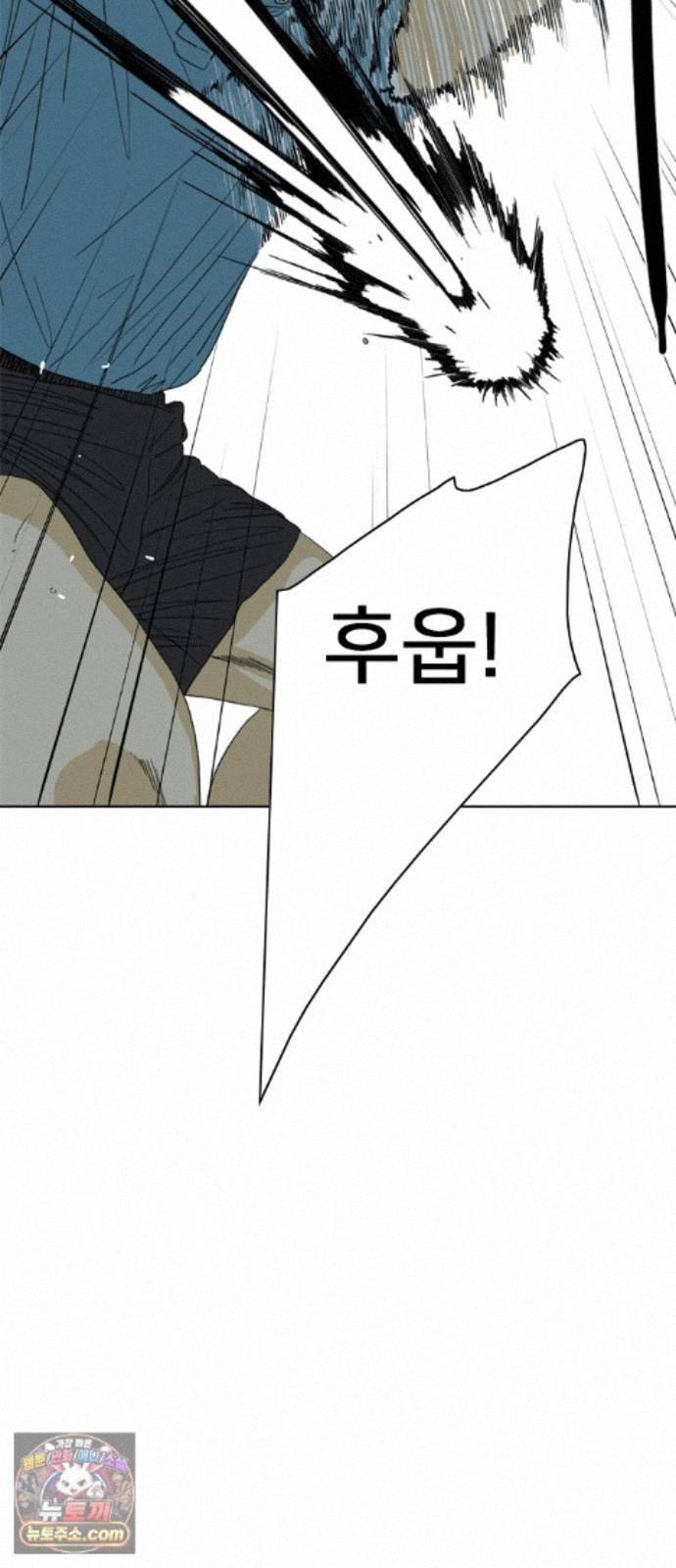 207.jpg