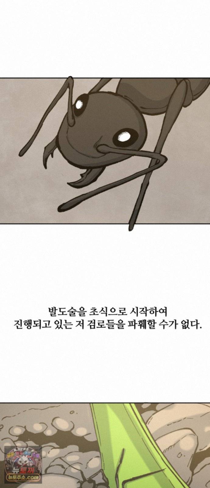 030.jpg