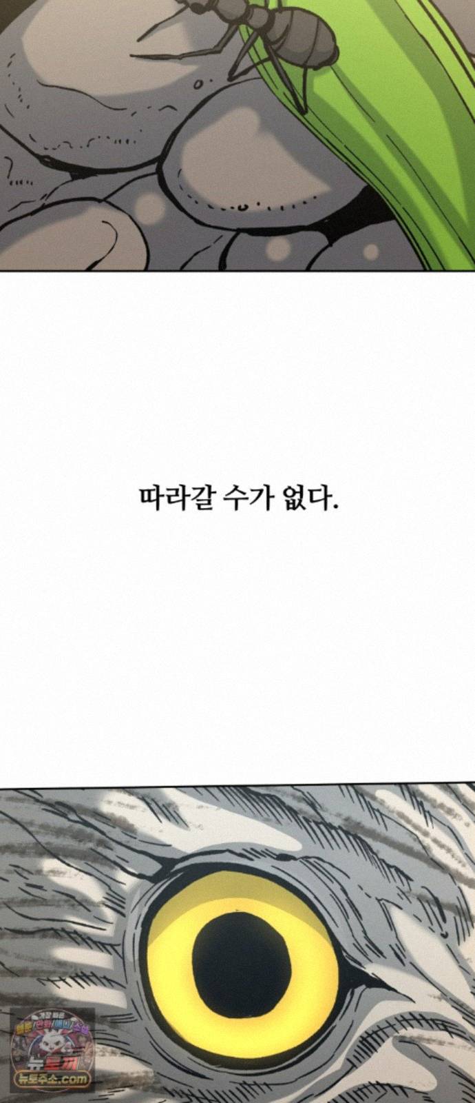 031.jpg