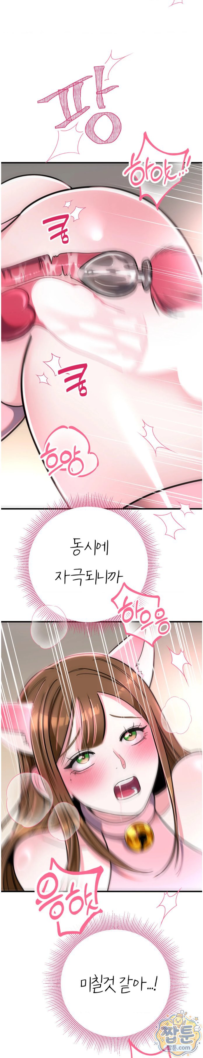 010.jpg