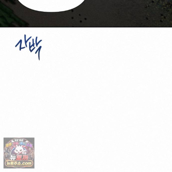 147.jpg