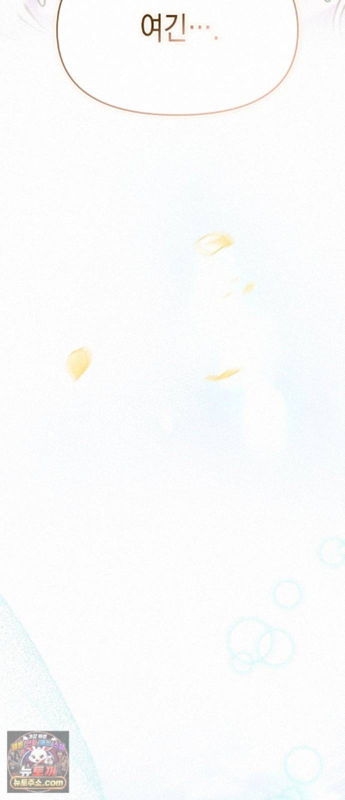 042.jpg