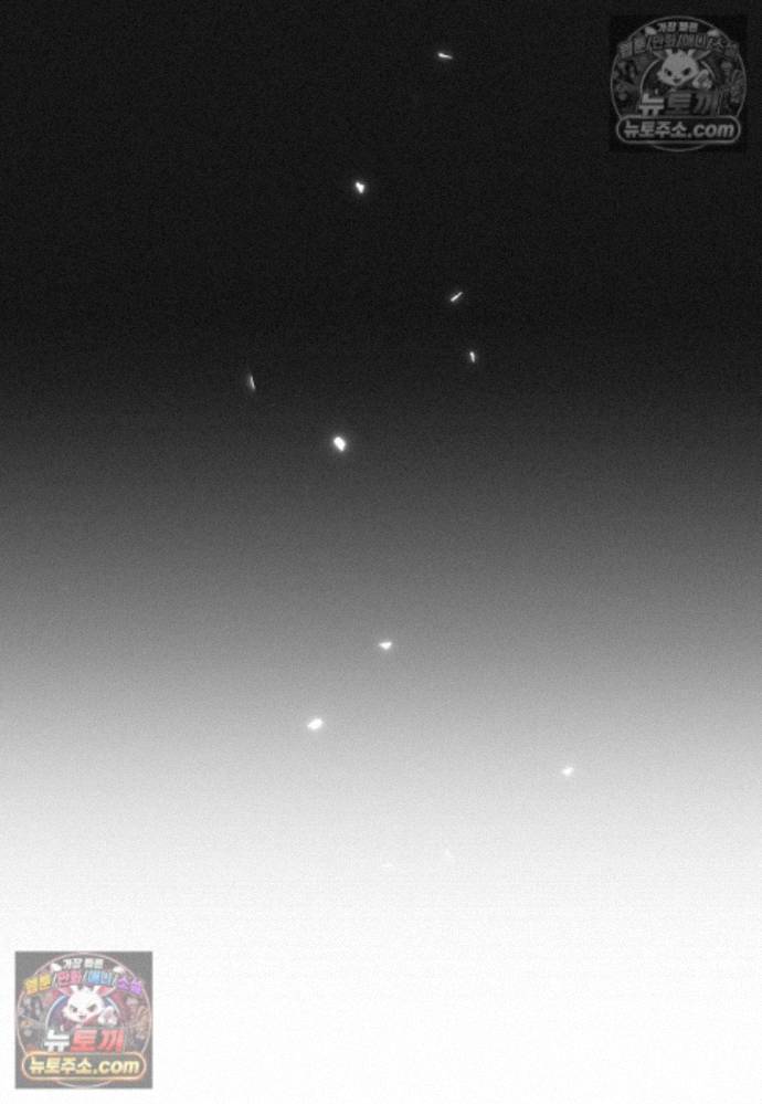 053.jpg