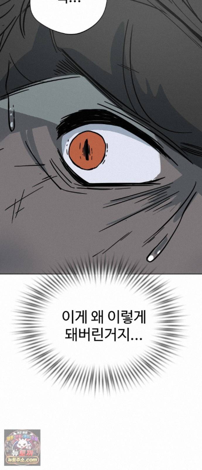 009.jpg