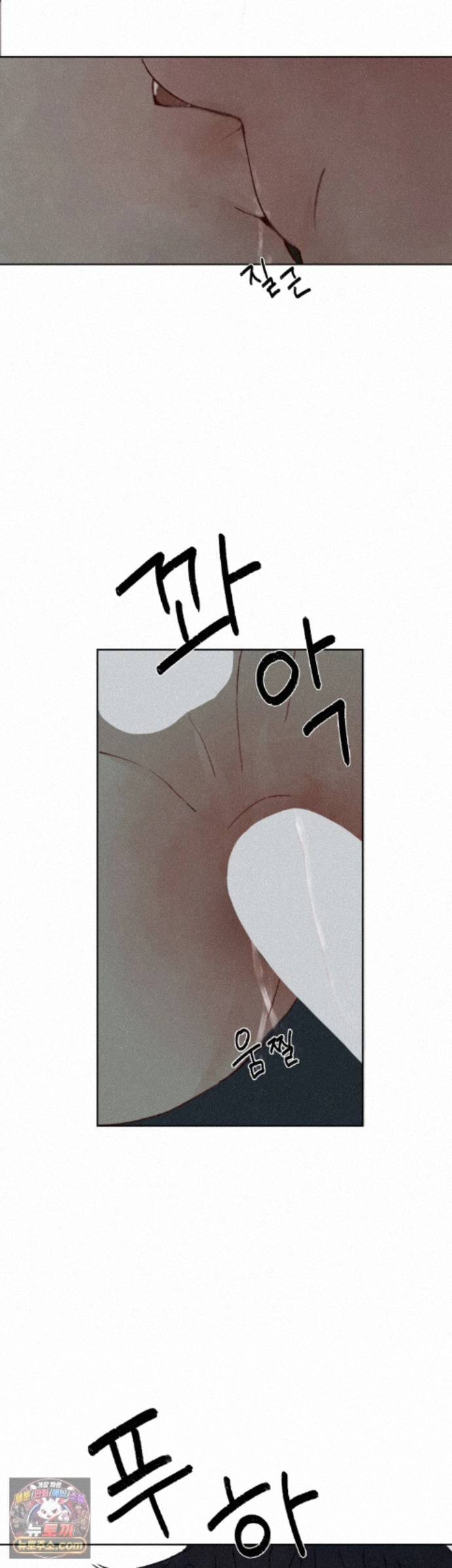 005.jpg