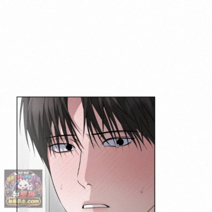 008.jpg
