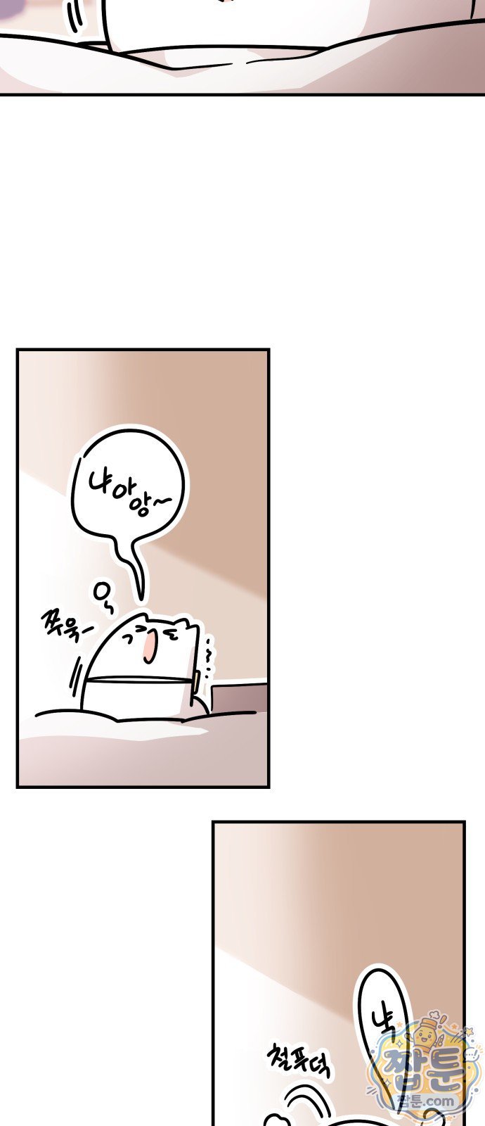 005.jpg