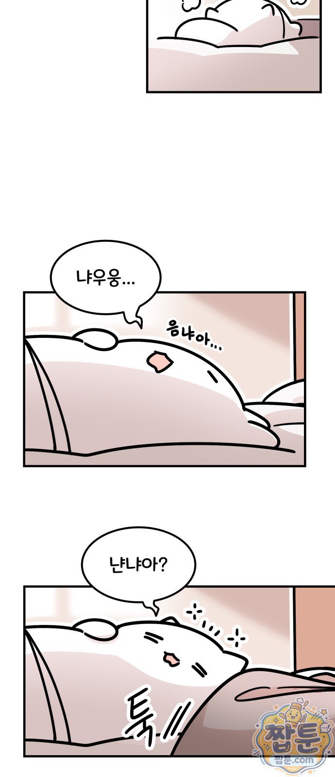 006.jpg