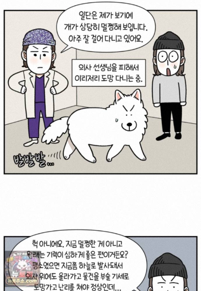 007.jpg