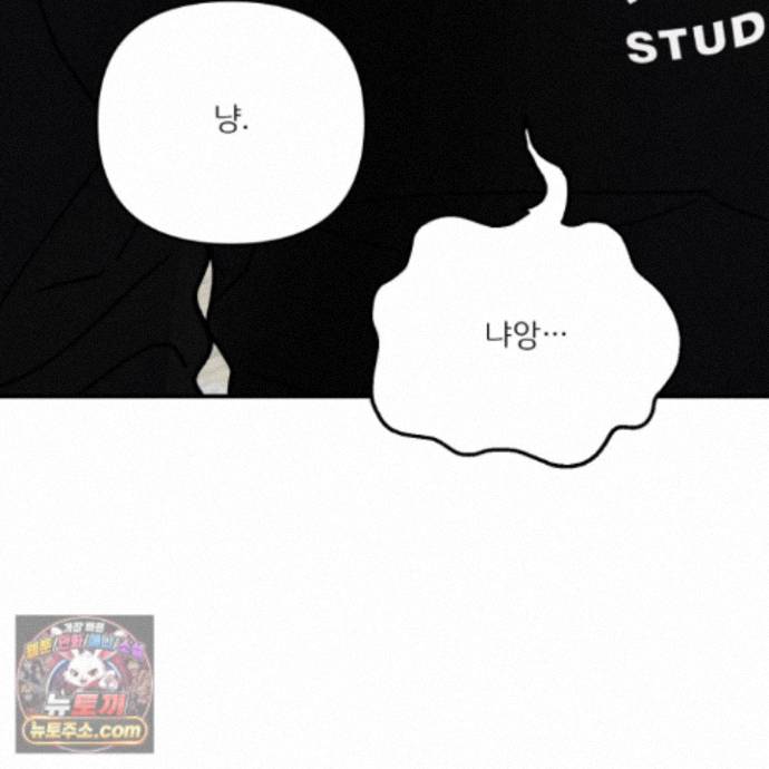 113.jpg
