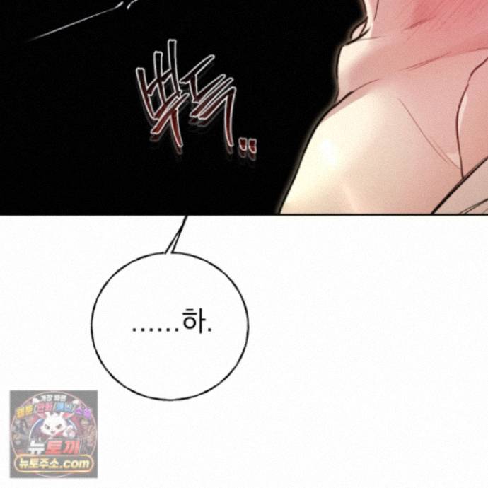 156.jpg