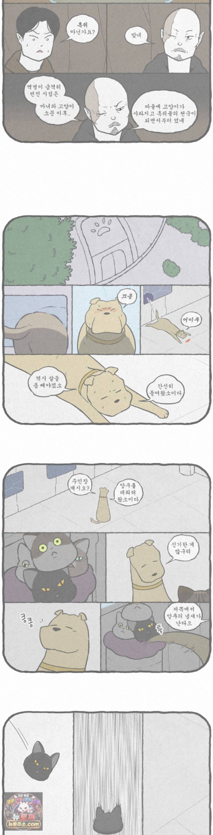 003.jpg