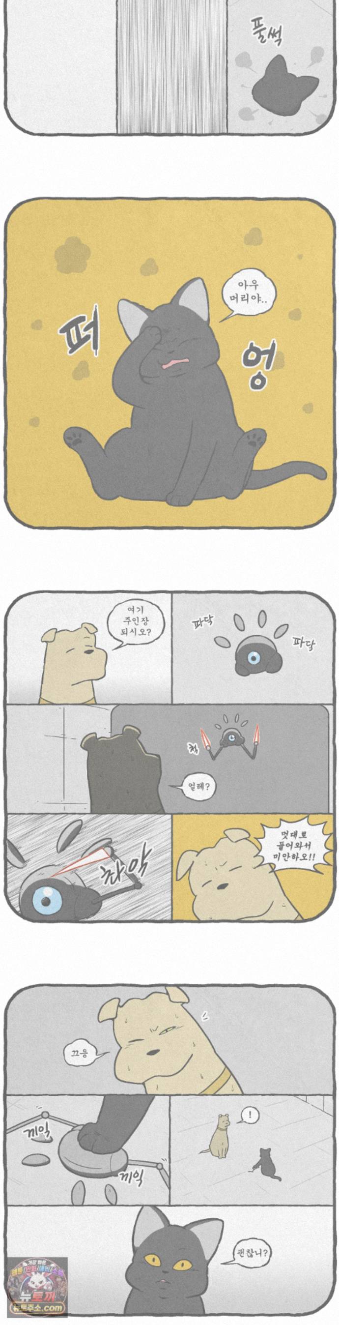 004.jpg