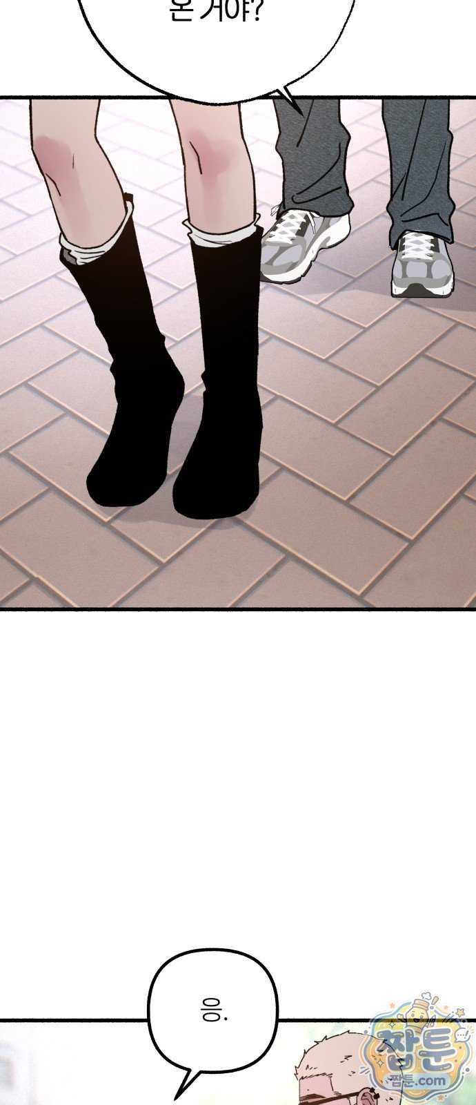 008.jpg