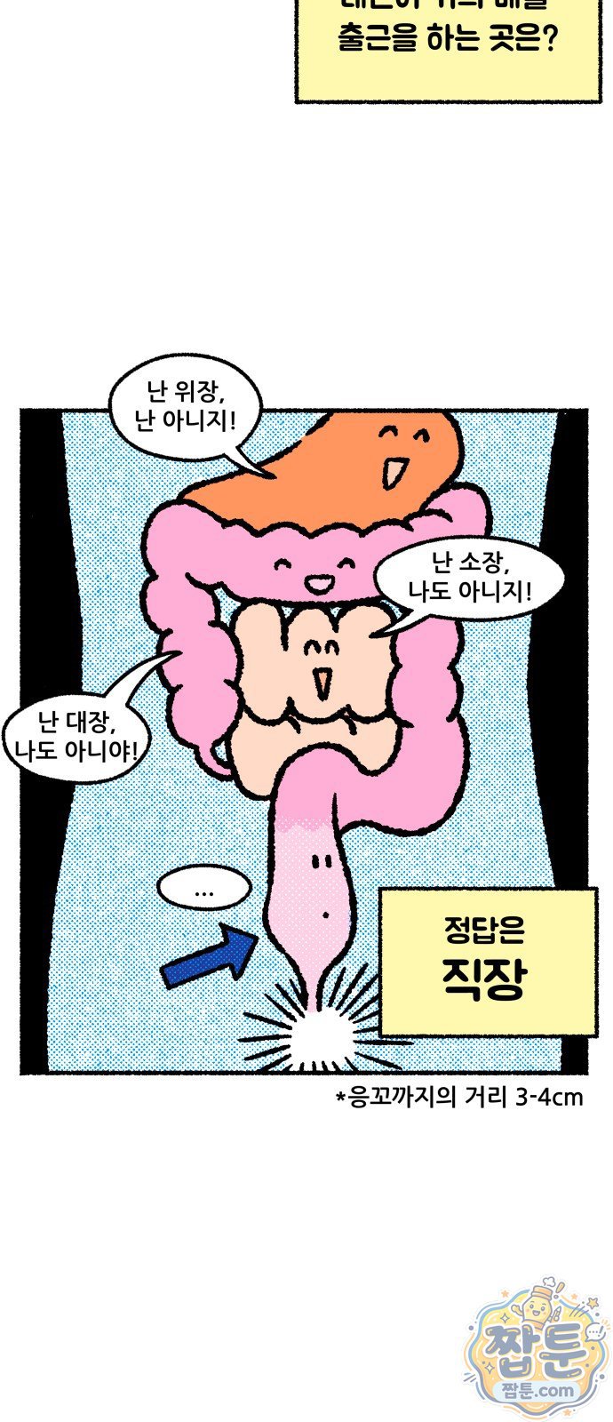 006.jpg