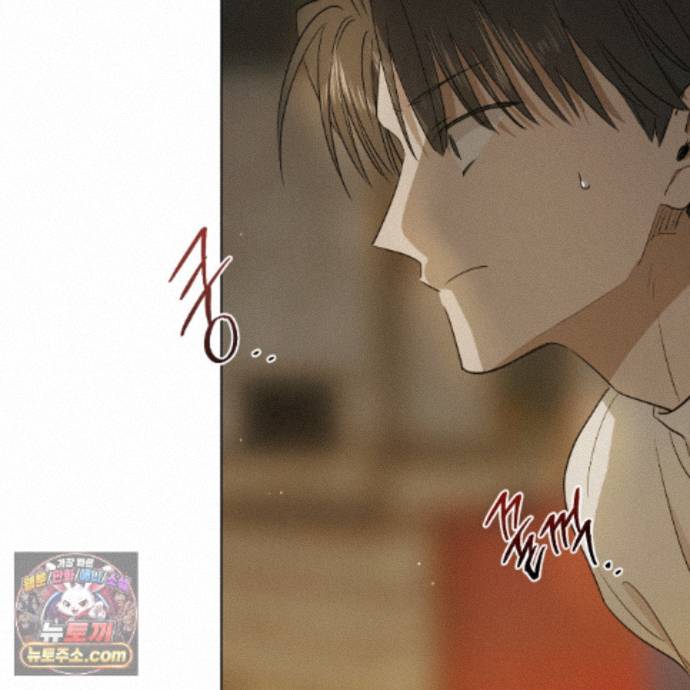 113.jpg